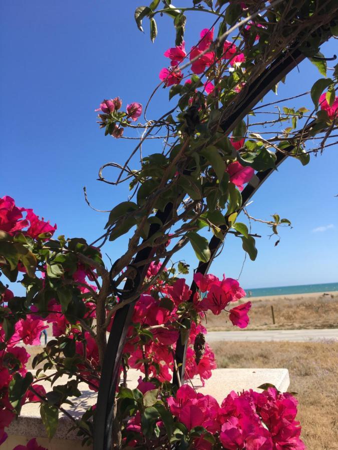 Beach Flat With Garden Castelldefels Exterior photo
